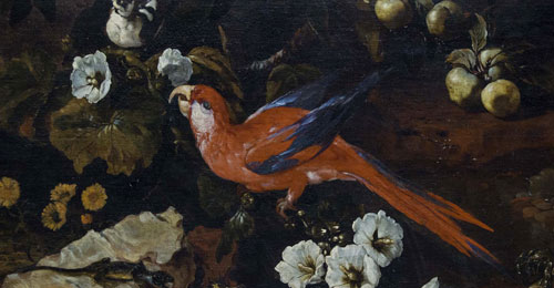 Paolo Porpora sottobosco con fiori e uccelli